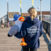 Extra Large Sunny the Seagull